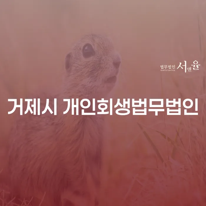 거제시 개인회생법무법인을 통해 부가세체납 문제 해결할 수 있을까요?